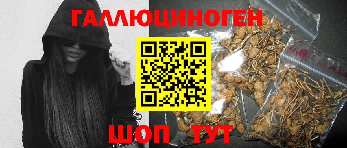 Алейск  Псилоцибиновые грибы Cubensis  где можно купить наркотик  Вход с VPN 